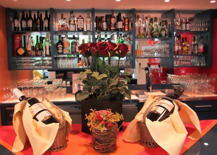 酒店 慕尼黑卡丽酒店 4*